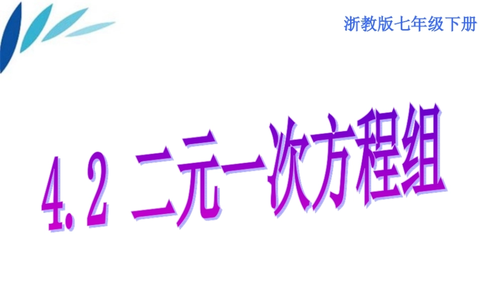 七年级数学下册 4.2 二元一次方程组课件 浙教版 课件
