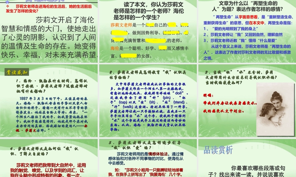 7《再塑生命的人》PPT(上)