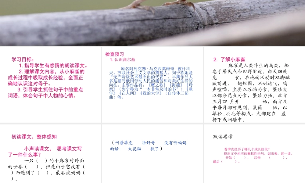 1小麻雀-(3)