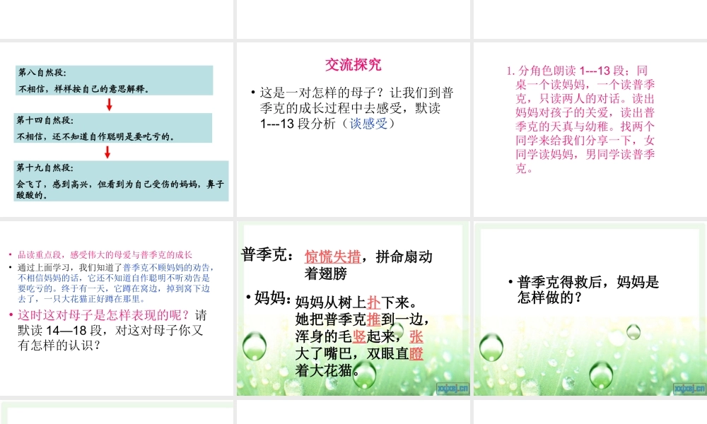 1小麻雀-(3)