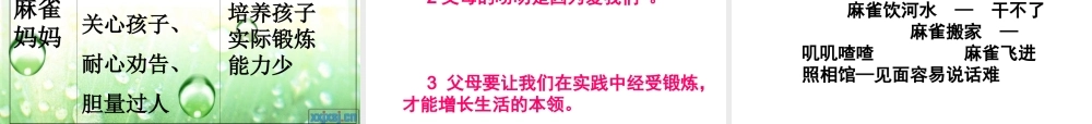 1小麻雀-(3)