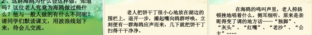 《老人与海鸥》ppt课件1-(2)
