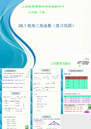 锐角三角函数复习巩固
