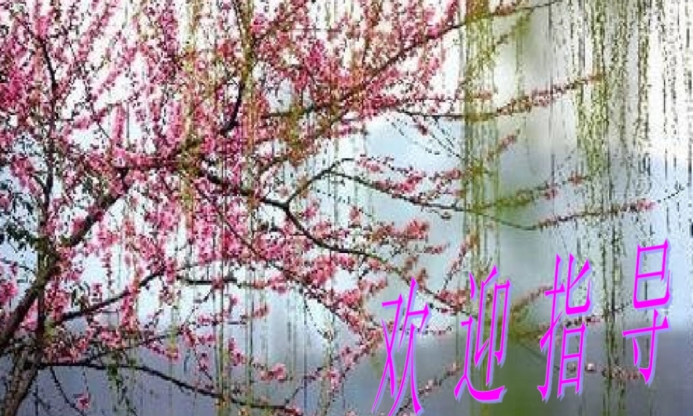 七年级语文下册(音乐巨人贝多芬)课件 人教版新课标版 课件