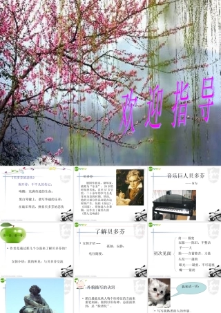 七年级语文下册(音乐巨人贝多芬)课件 人教版新课标版 课件