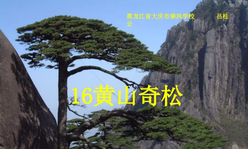黄山奇松 (2)