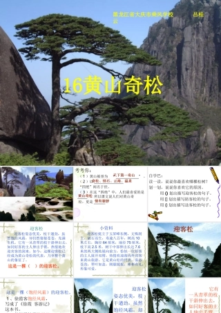 黄山奇松 (2)