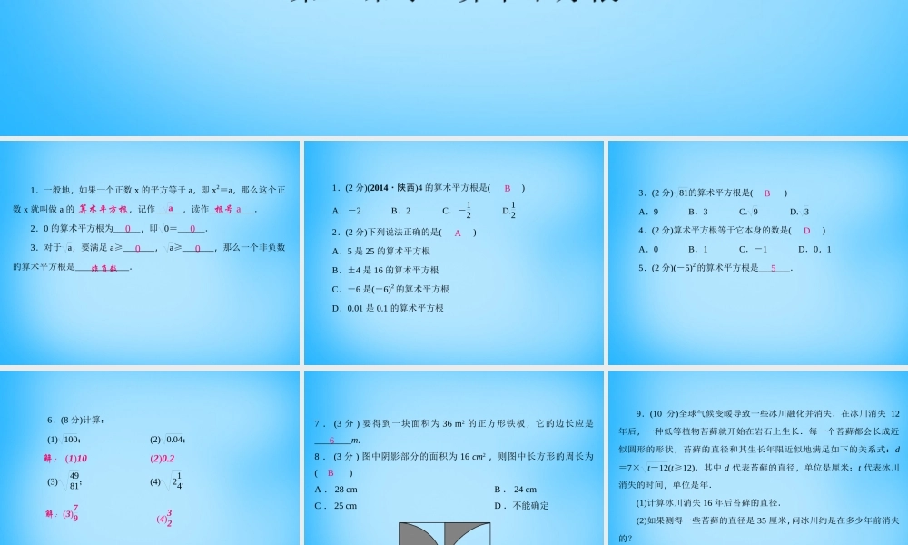 八年级数学上册 2.2 平方根课件(1)(新版)北师大版 课件