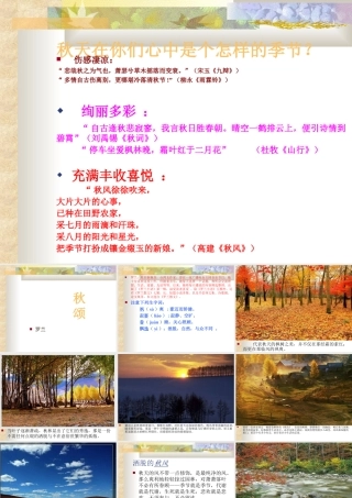 七年级语文秋颂