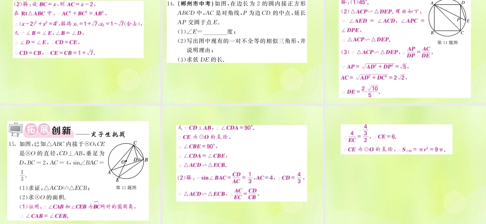 九年级数学下册 第2章 圆 22 圆心角、圆周角 222 圆周角 第2课时 圆周角的推论及圆内接四边形习题课件 (新版)湘教版 课件