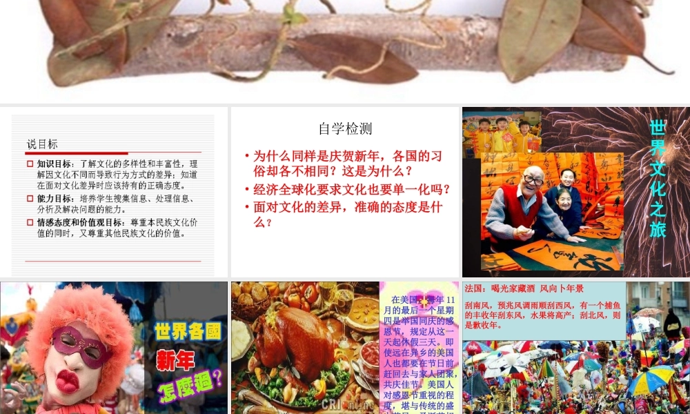 八年级政治世界文化之旅1上课