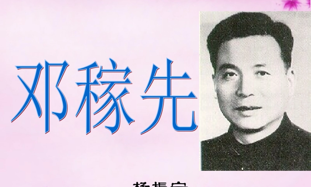 七年级语文下册 第11课(邓稼先)课件 新人教版 课件