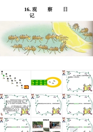 观察日记课件