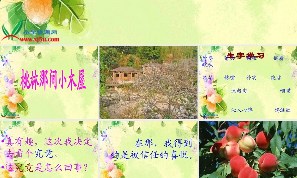 课件_桃林那间小木屋_1