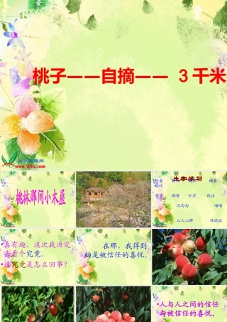 课件_桃林那间小木屋_1