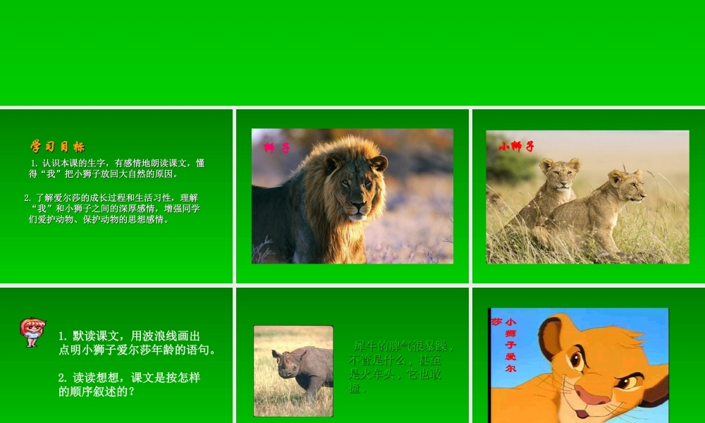 28小狮子爱尔莎