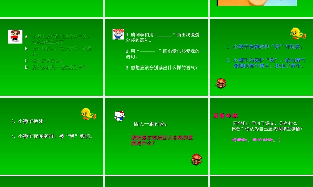 28小狮子爱尔莎