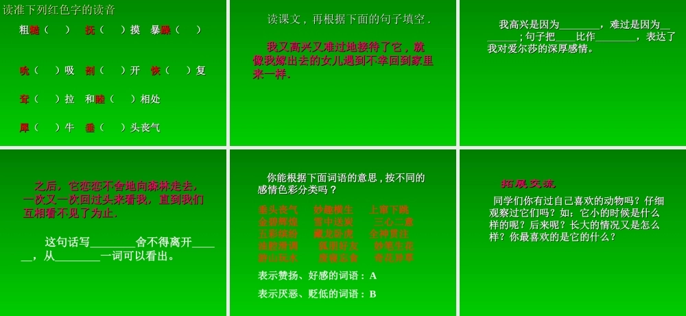 28小狮子爱尔莎