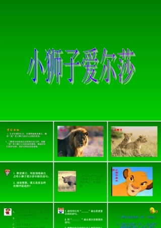 28小狮子爱尔莎