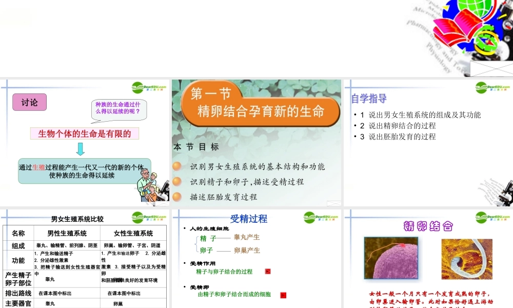 七年级生物下册 第一节精卵结合孕育新的生命课件 苏教版 课件