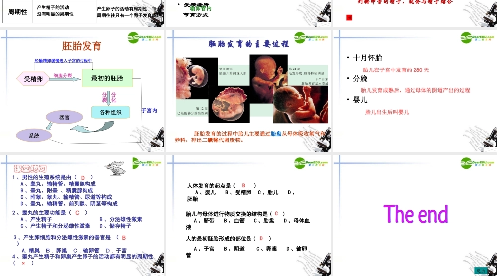七年级生物下册 第一节精卵结合孕育新的生命课件 苏教版 课件