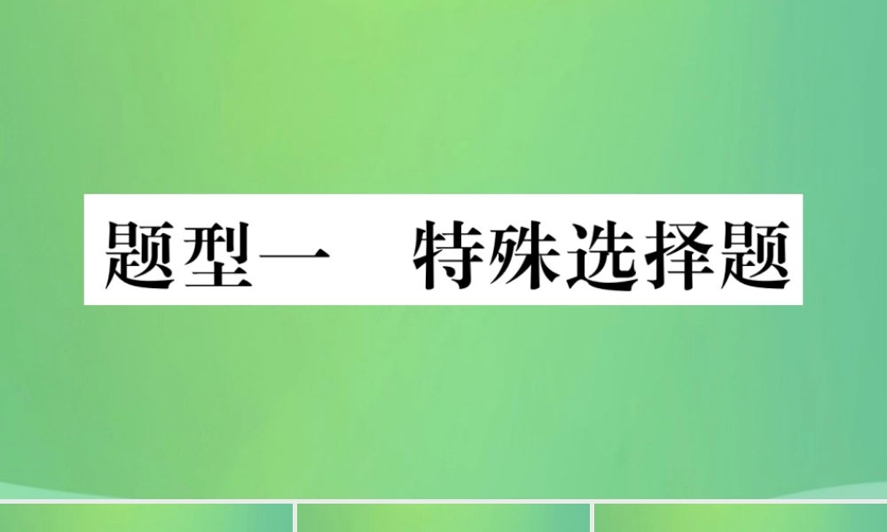 中考历史复习 题型集训一 特殊选择题课件