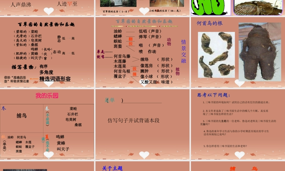 中学七年级语文下册(第6课 从百草园到三味书屋))课件 (新版)苏教版 课件