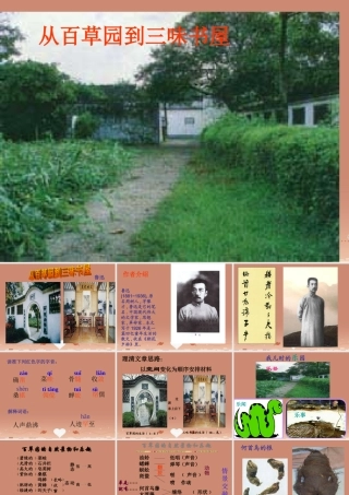 中学七年级语文下册(第6课 从百草园到三味书屋))课件 (新版)苏教版 课件