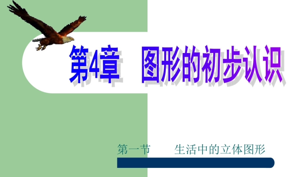 生活中的立体图形定稿