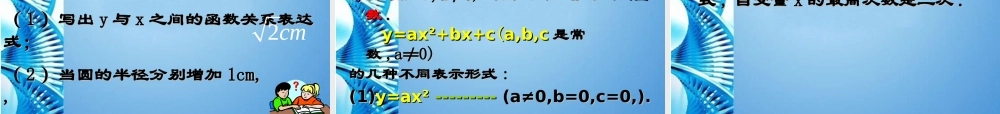 九年级数学下册 21二次函数所描述的关系复习课件 北师大版 课件