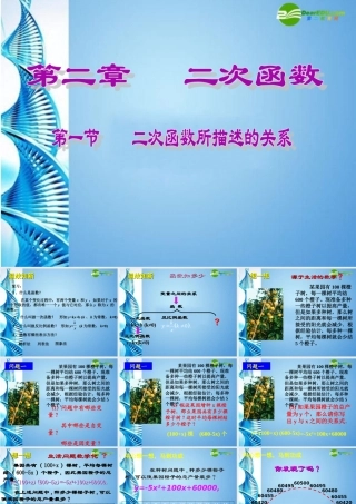 九年级数学下册 21二次函数所描述的关系复习课件 北师大版 课件