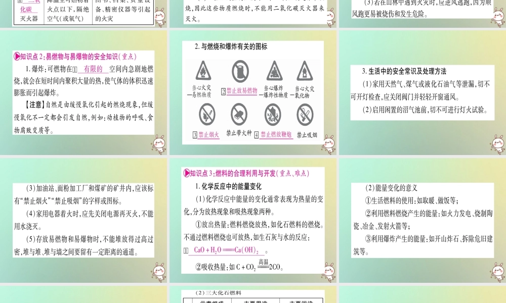 中考化学准点备考复习 第一部分 教材系统复习 第7讲 燃料及其利用课件 新人教版 课件