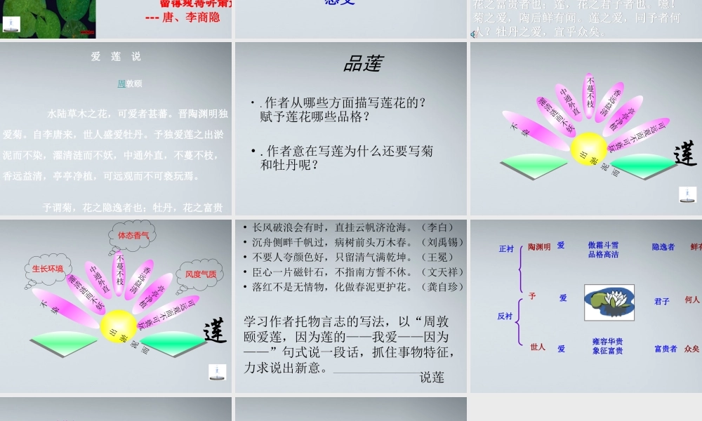 七年级语文上册 第26课(短文两篇)之(爱莲说)课件 鲁教版 课件