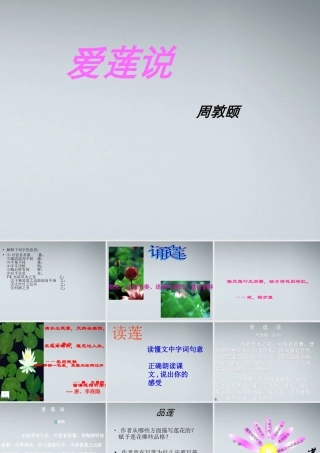 七年级语文上册 第26课(短文两篇)之(爱莲说)课件 鲁教版 课件