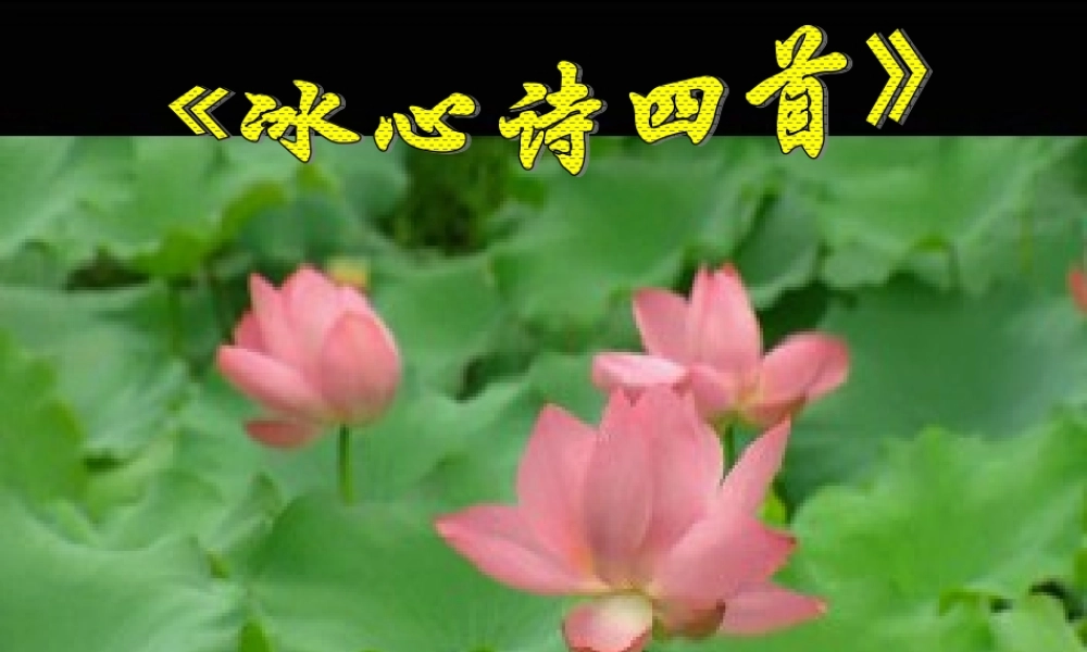 七年级语文冰心诗四首课件 苏教版 课件