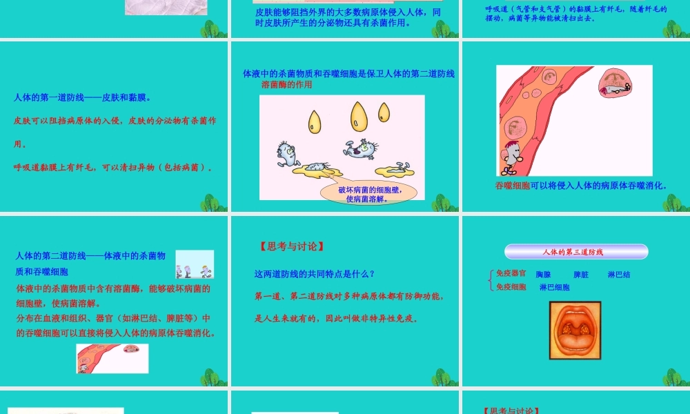 八年级生物下册 8.1.2 免疫与计划免疫(二)课件(新版)新人教版 课件