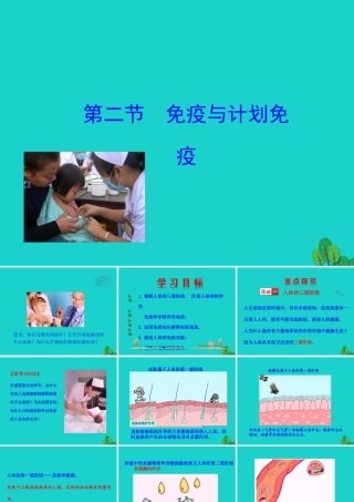 八年级生物下册 8.1.2 免疫与计划免疫(二)课件(新版)新人教版 课件