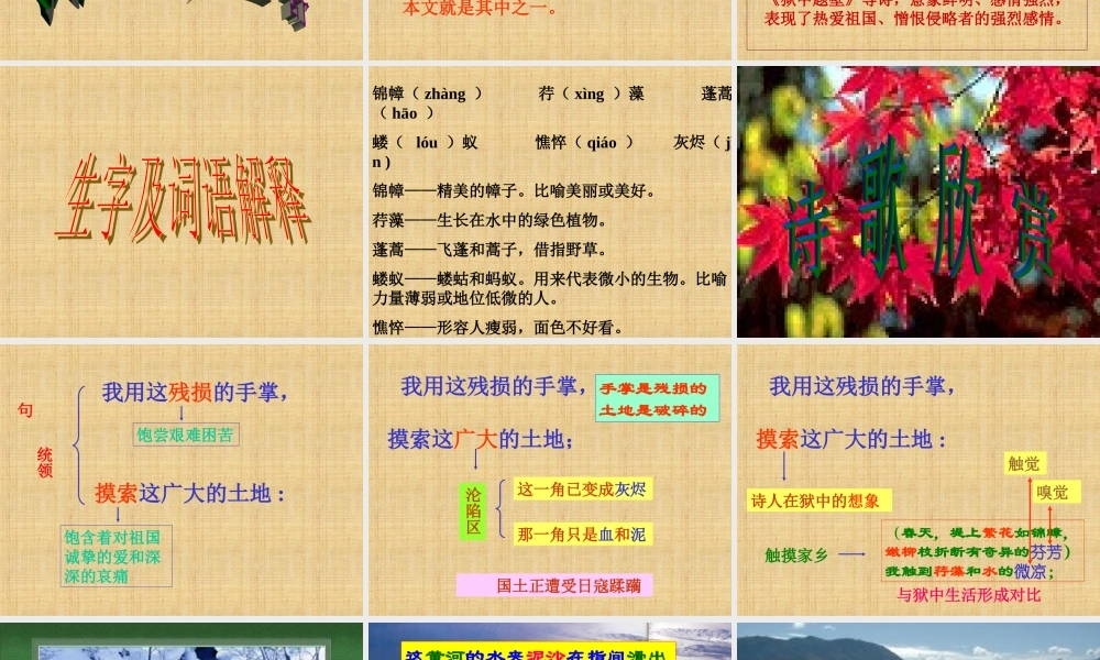 《我用残损的手掌》课件PPT