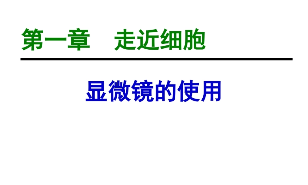 1-2.1-显微镜的使用19ppt