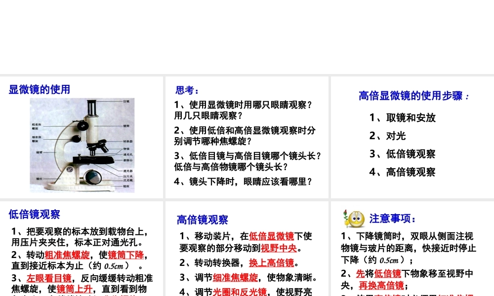 1-2.1-显微镜的使用19ppt