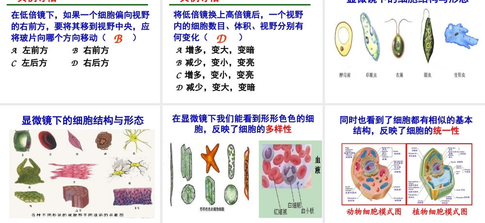 1-2.1-显微镜的使用19ppt