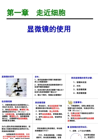 1-2.1-显微镜的使用19ppt