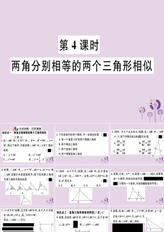 九年级数学下册 第二十七章 相似 272 相似三角形 2721 第4课时 两角分别相等的两个三角形相似习题讲评课件 (新版)新人教版 课件