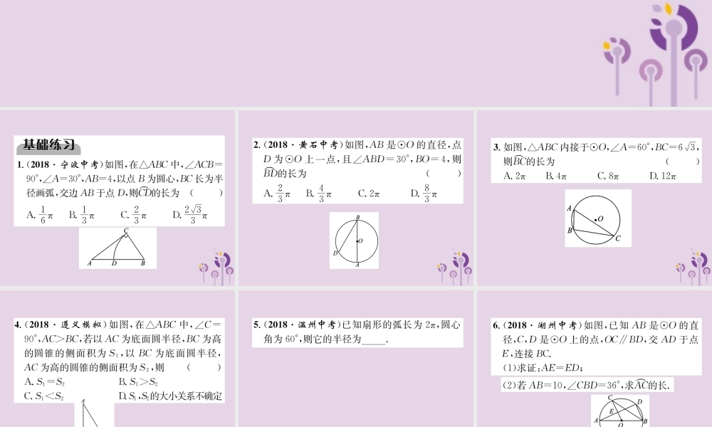中考数学总复习 第一部分 教材知识梳理 第7章 圆 第3节 正多边形与圆的有关计算(精练)课件