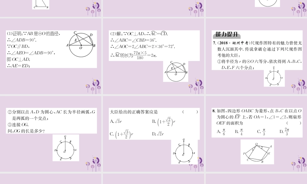 中考数学总复习 第一部分 教材知识梳理 第7章 圆 第3节 正多边形与圆的有关计算(精练)课件
