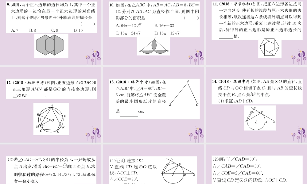中考数学总复习 第一部分 教材知识梳理 第7章 圆 第3节 正多边形与圆的有关计算(精练)课件