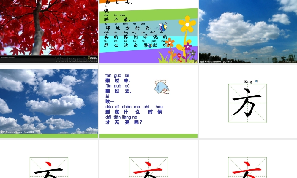 鄂教版一上《明天要秋游》