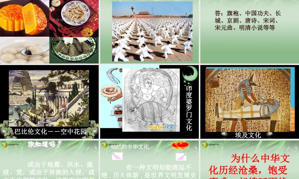 九年级政治全册 政治第五课第一框 灿烂的中华文化课件 新人教版 课件