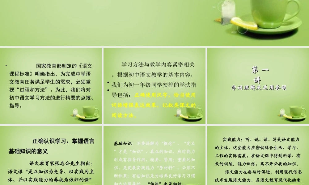 名师指津七年级语文学法 第一讲 字词理解及运用要领课件 新人教版 课件