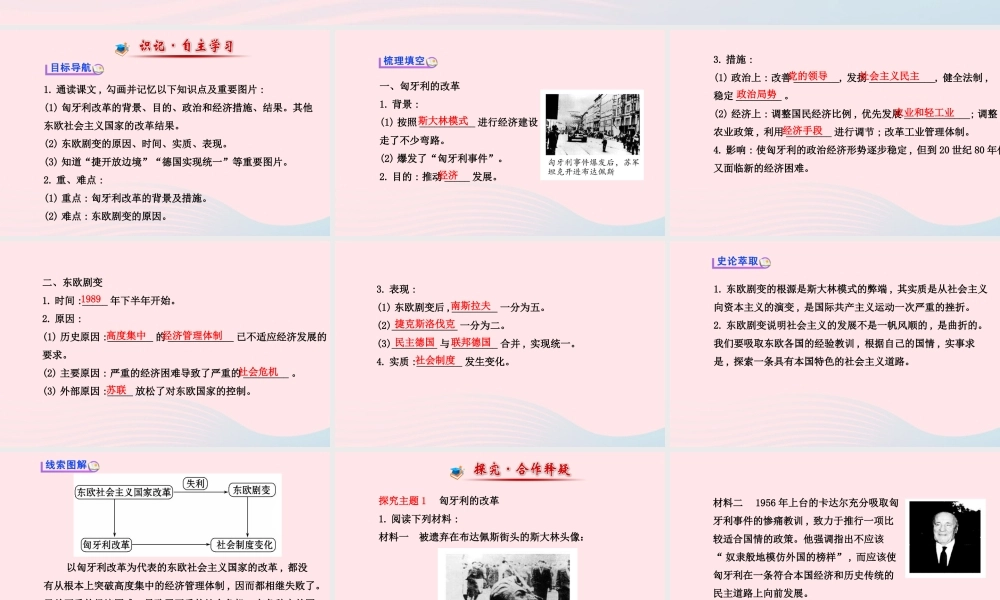 九年级历史下册 第五单元 社会主义国家的改革与演变 第11课 东欧社会主义国家的改革与演变习题课件 新人教版 课件